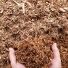 Premium White Cedar Mulch (Image 3)